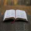 Holy Bible